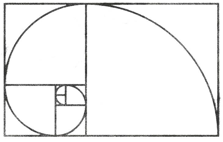 fibonacci-spirale-sw